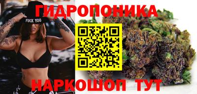 шишки Гусь-Хрустальный