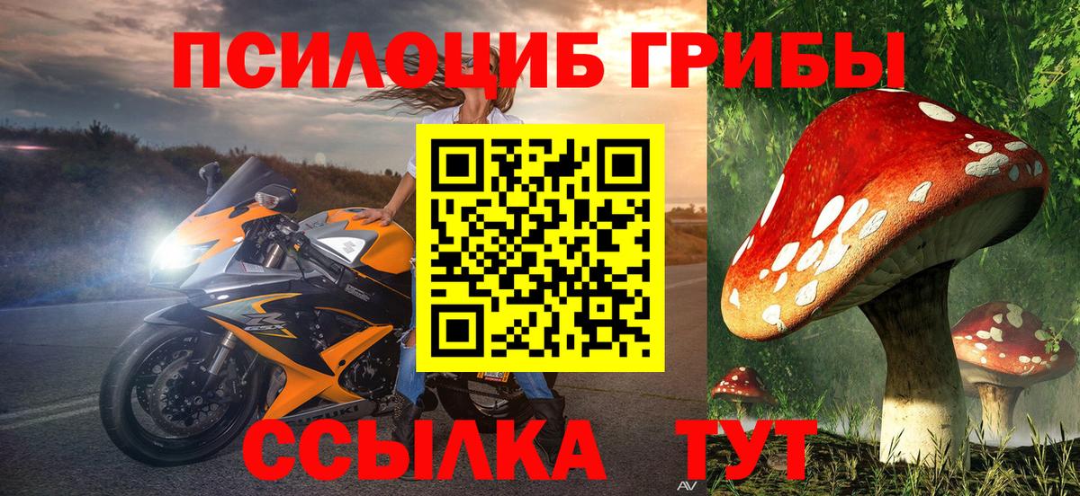 Галлюциногенные грибы Майкоп
