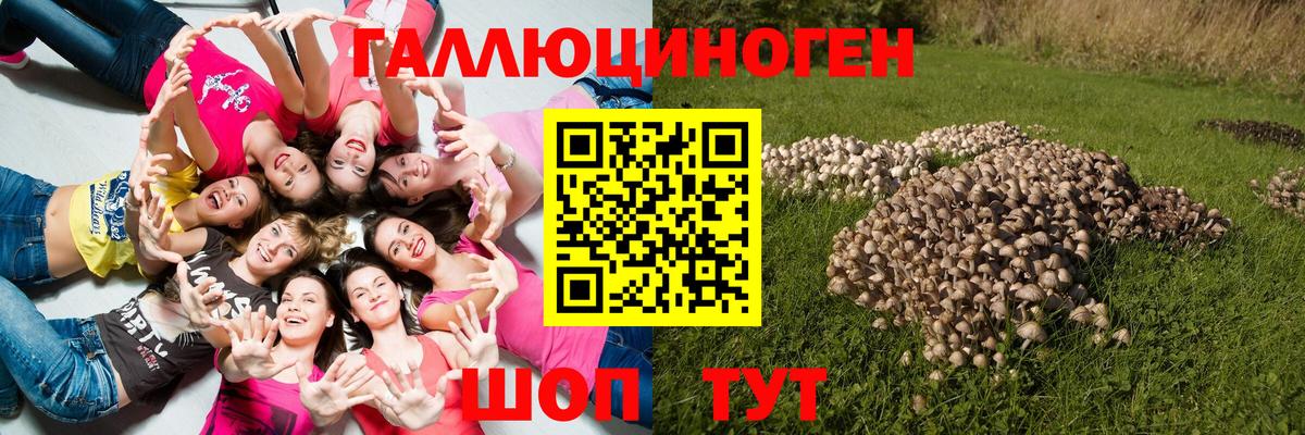 Галлюциногенные грибы Cubensis Майкоп